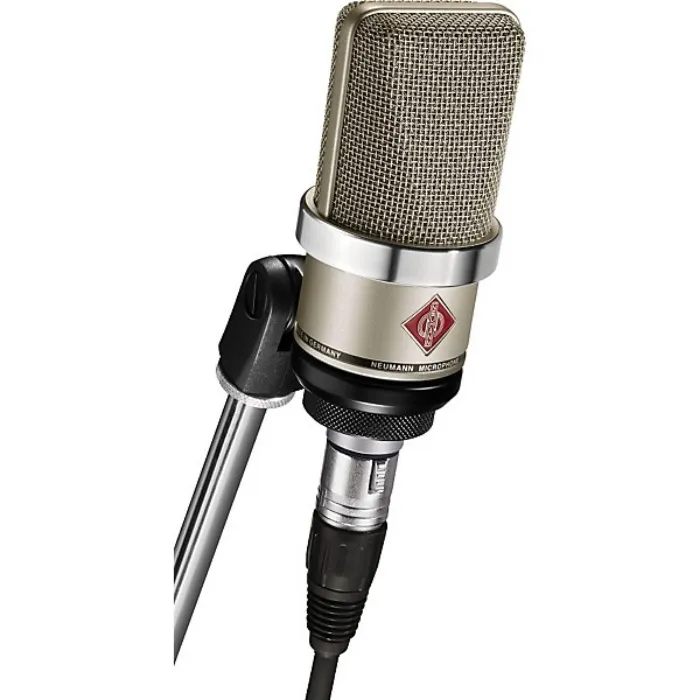 Neumann TLM 102 Condenser Mic - Voice Acting Microphone