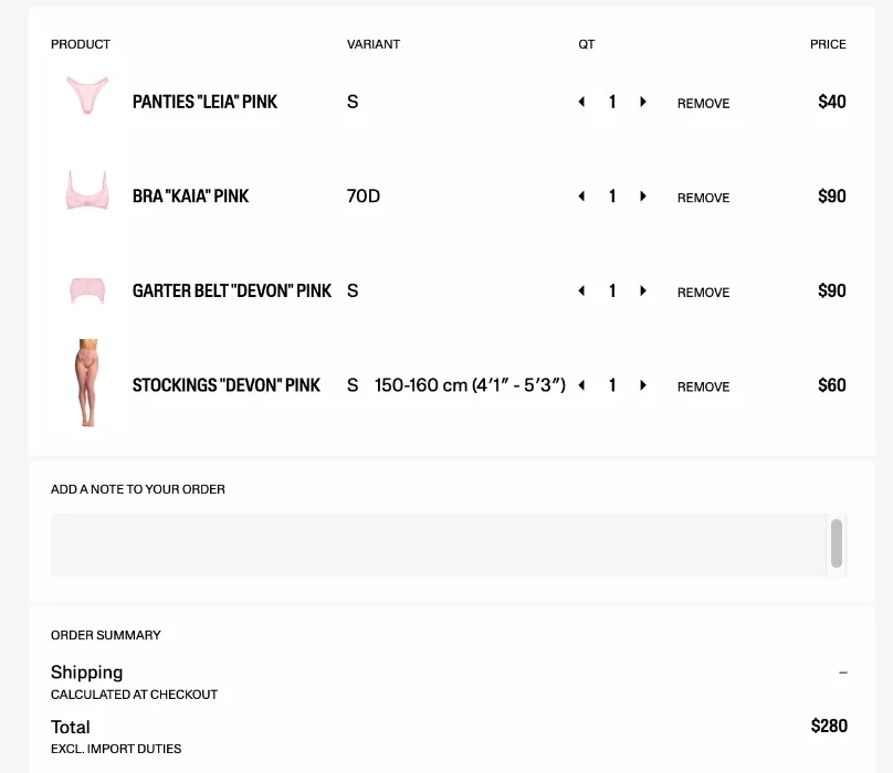 Pink nylon lingerie set 