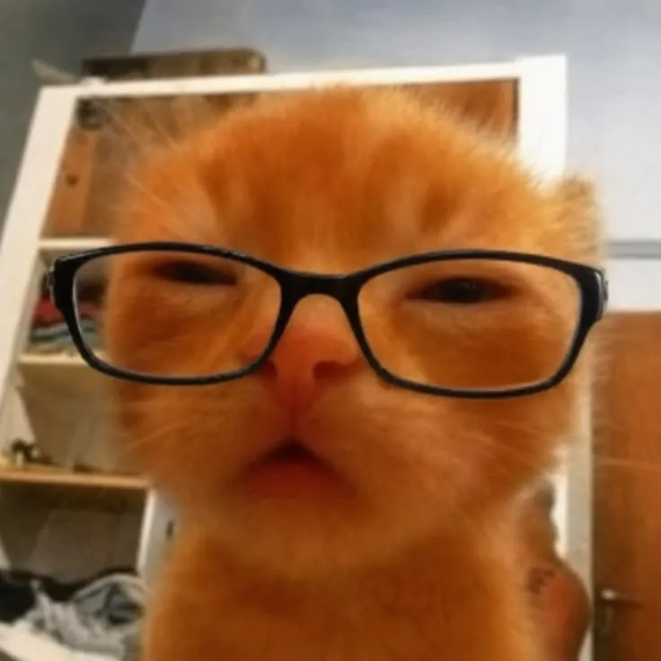 new glasses