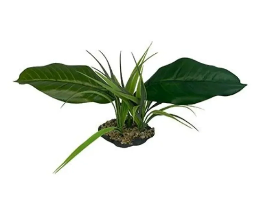 Komodo Woodland Canopy 10" Decorative Plant