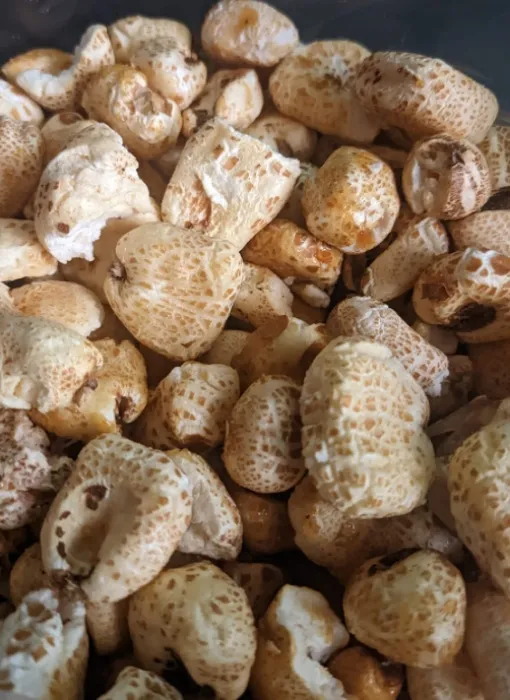 Trigo – Presentación de 300 gr 