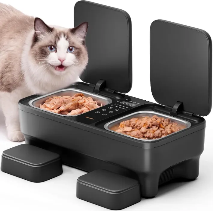 Cooling Double Cat Feeder