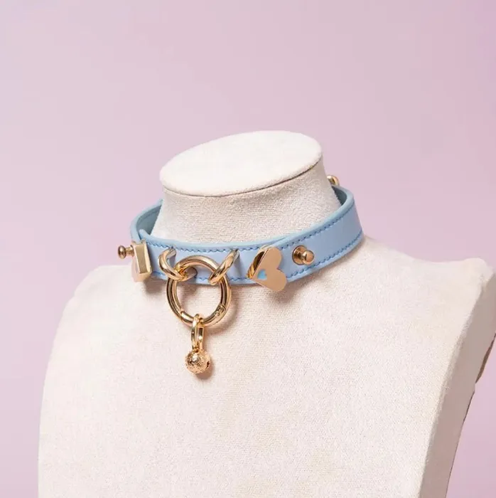 Blue and Gold Puppy Collar