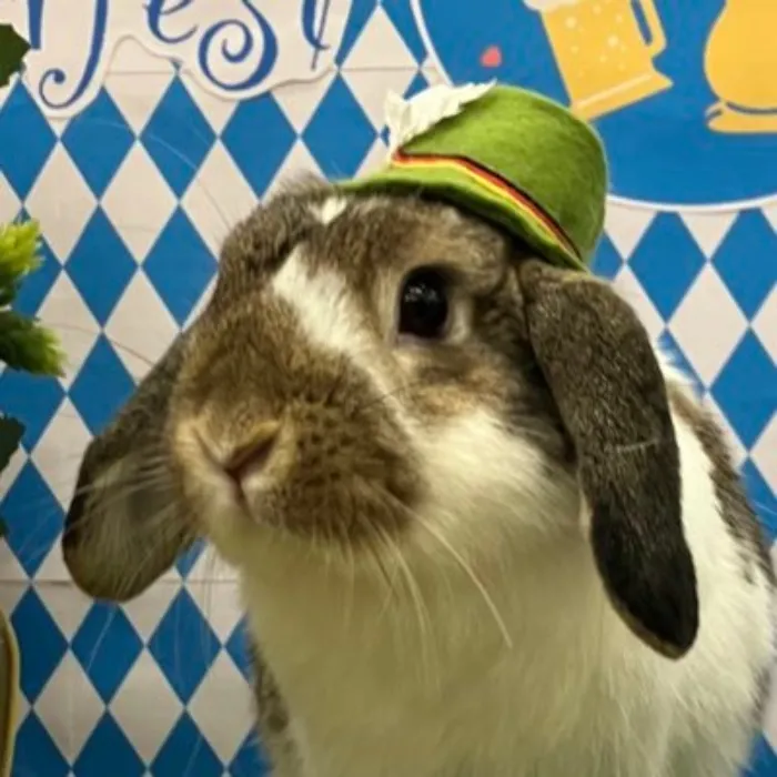 DEBUT ART - SKEB! (by mama :D)