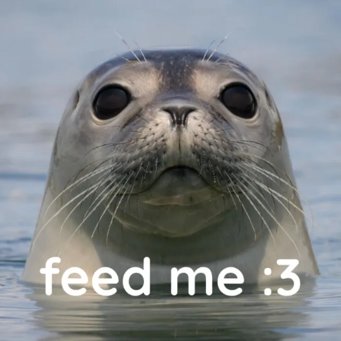 feed a real life seal some fish! 🐟