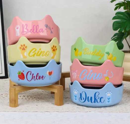 Custom Cat Bowl