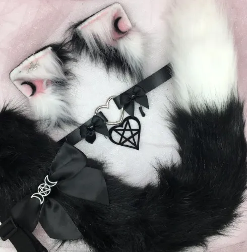 Black and White Moon Ears