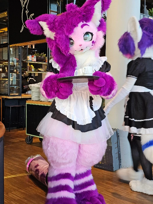 Momo Maid Dress Stream!