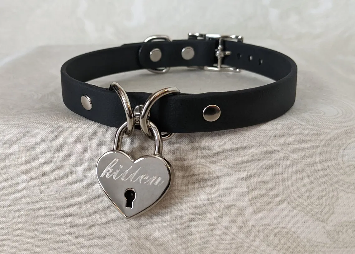 Locking Pet Collar