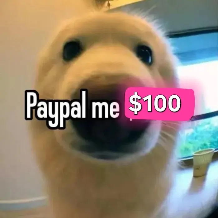 $100 towards debut