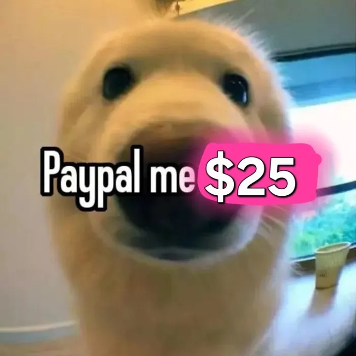 $25 towards debut