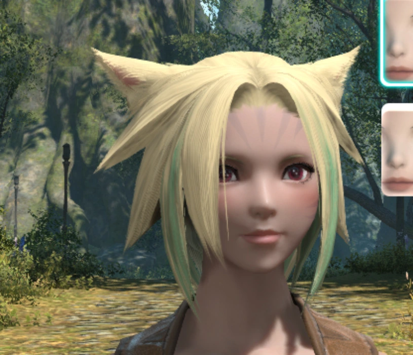 new pngmodel - XIV CHIP!