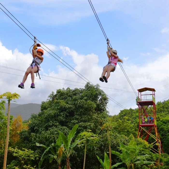 Rainforest Zipline Tour