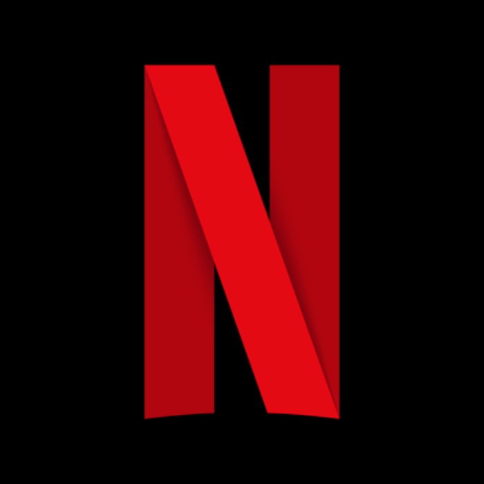 Netflix Subscription ($25)