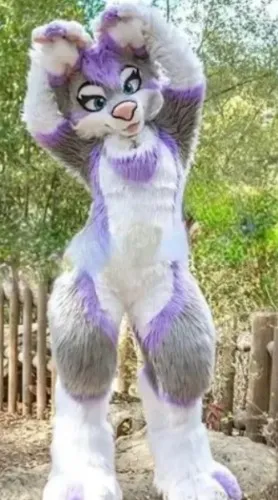 Fursuit (Pic not accurate)