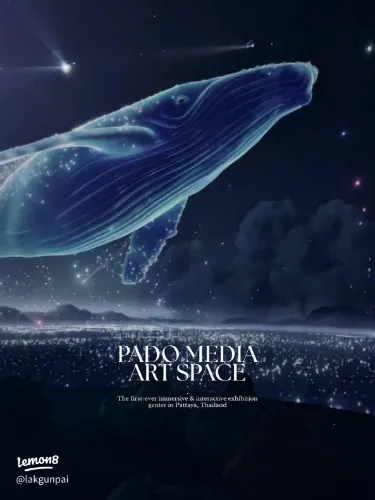 Ticket to Pado Media Art Space in Pattaya