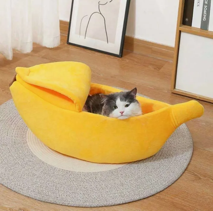 Banana camita