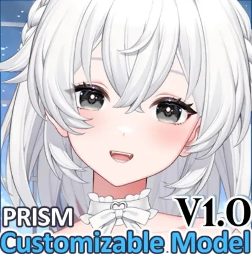 Customizable 2D model