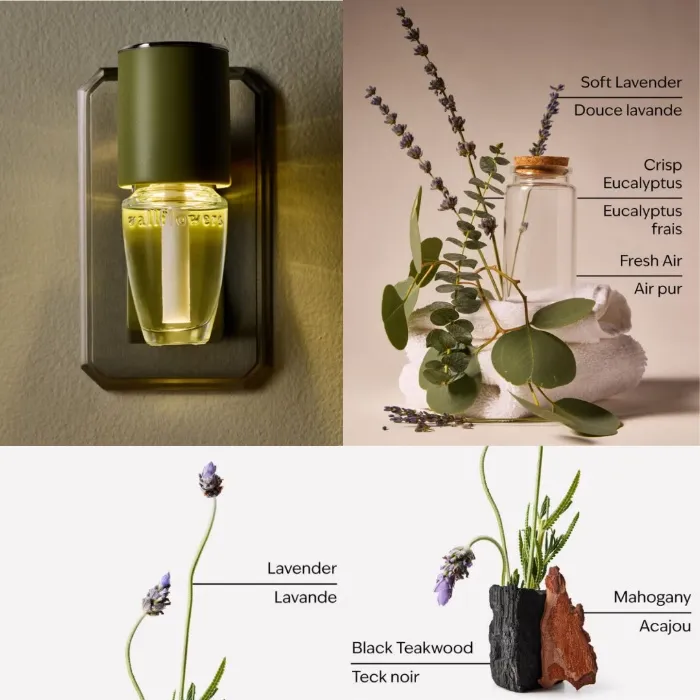Wall Diffusers and Fragrance 🌿🪻