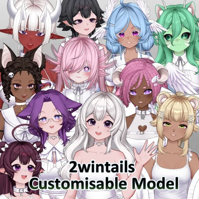 2wintails Customisable Model