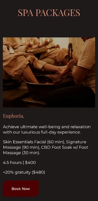WELLNESS SPA DAY