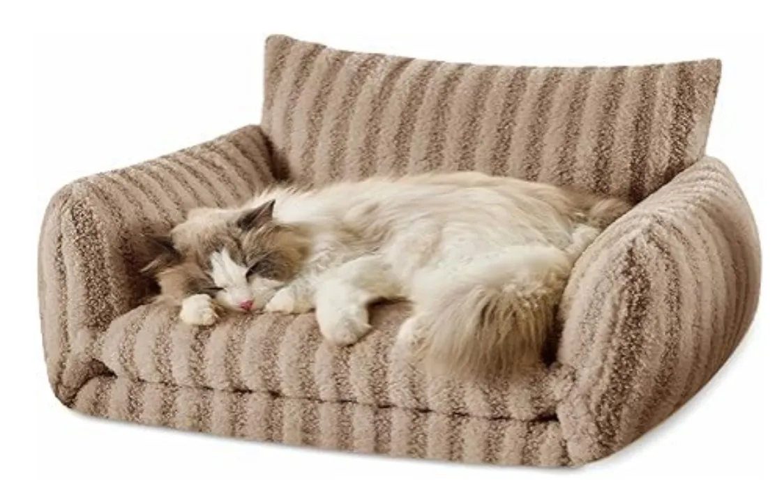 Kitty Couch!