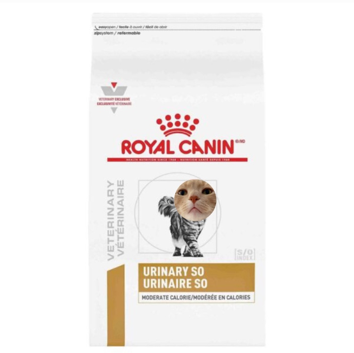 Dry Cat Food - Royal Canin Veterinary Prescription Diet, 17.6-lb bag