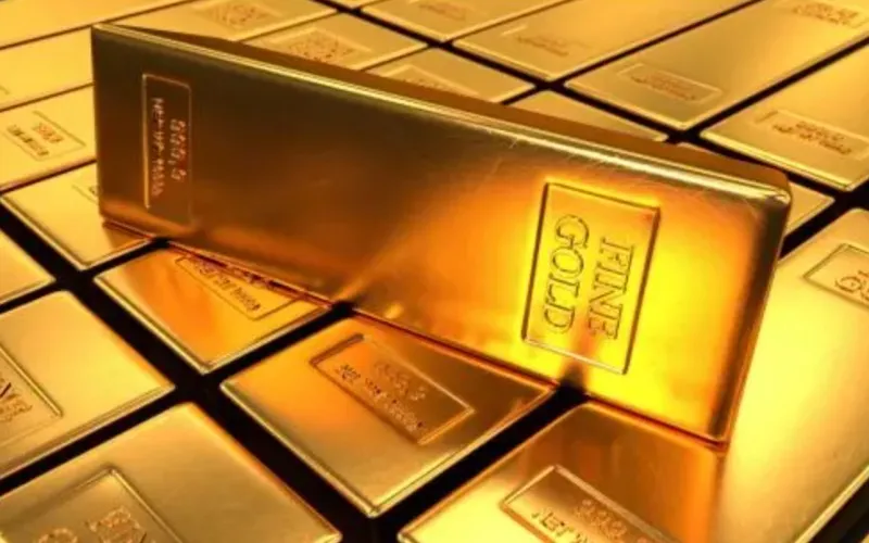 $3000 Fin Dom artwork 🥵🤑