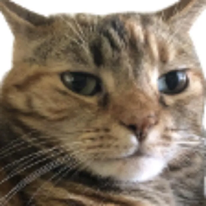 Rosie's college fund