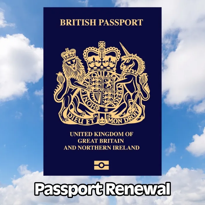 Bears Passport Renewal ✈️