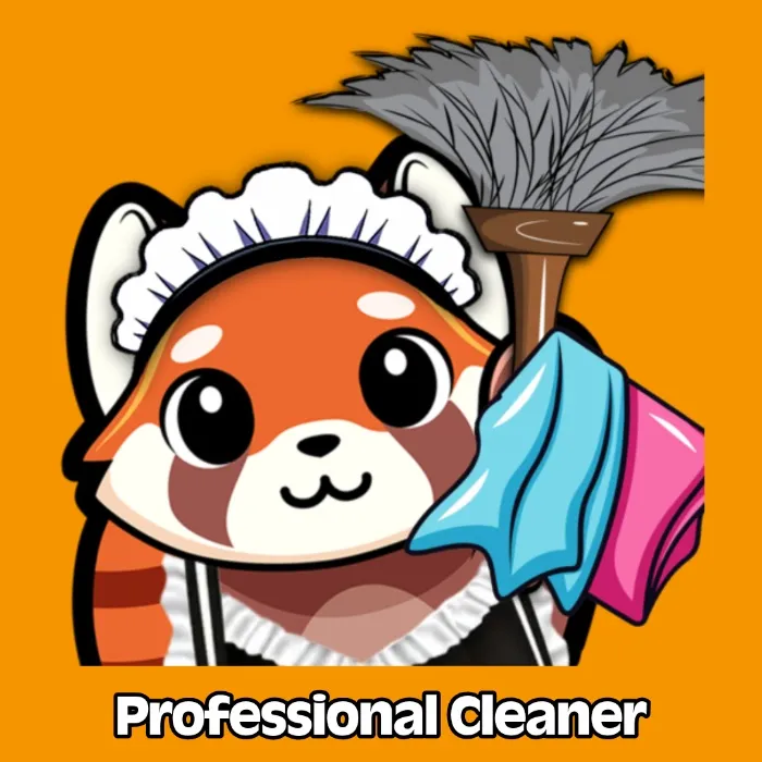 Professional Cleaner for 2 Hours 