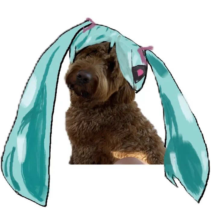 Crumpets Vet Appointment for his hips