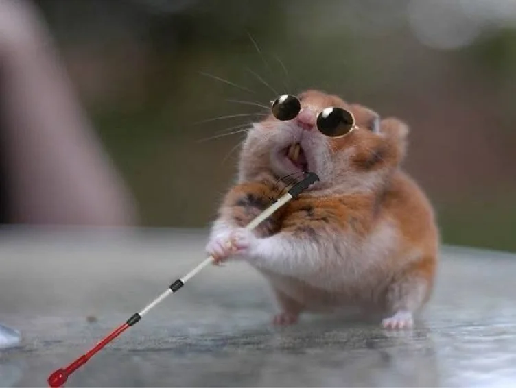 High Prescription Contacts