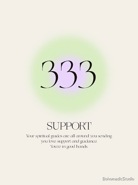 333 - support