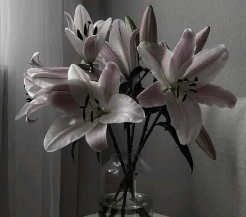 flowers x