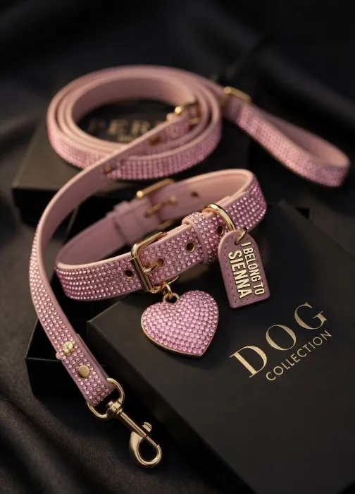 🐶 Dog colleccion 🐶