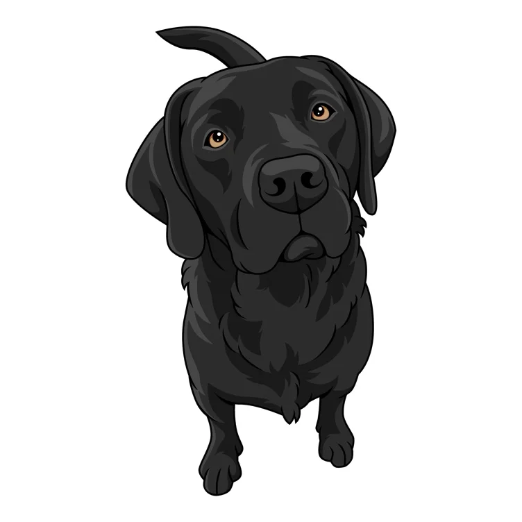 Funding my service dog🖤