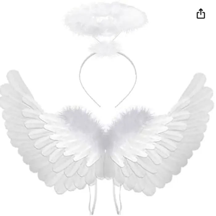 Angel Costume