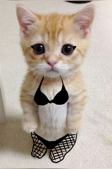 Get me lingerie🥹👙