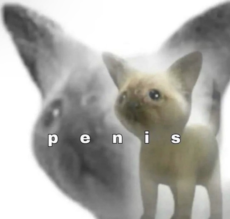 Get me sextoys🥹🍆