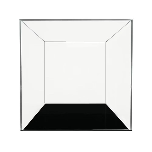 Acrylic box for figurine