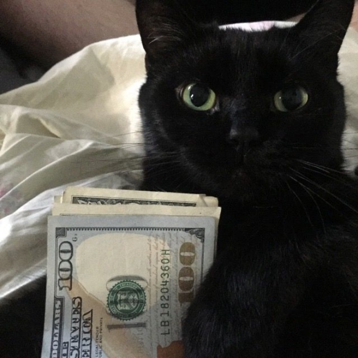 25$