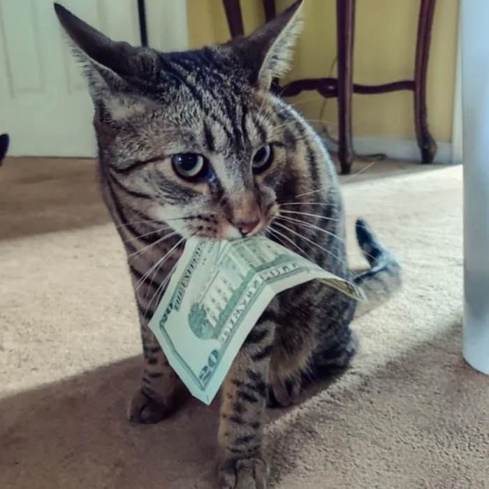 10$