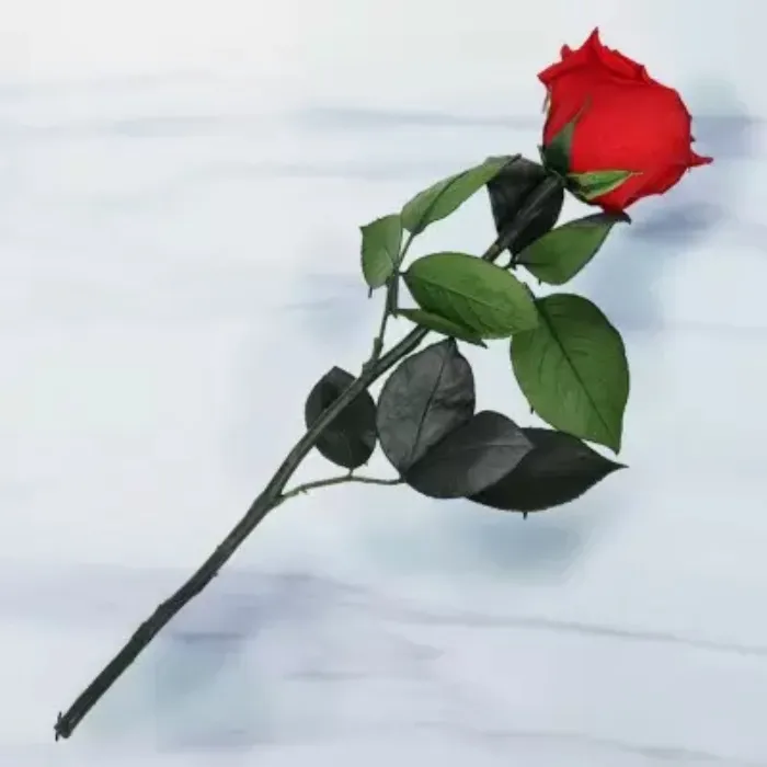 💗 Rose for the Queen 🫦