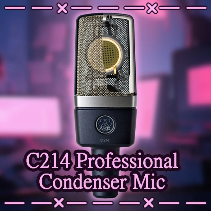 C214 Professional Condenser Mic