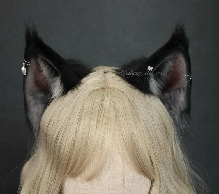Maine Coon Ears