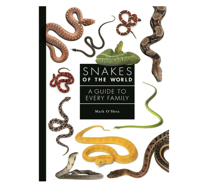 Snakes of the World (A Guide to Every Family: 6) 