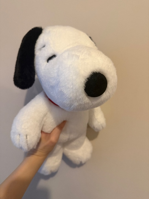 🧸