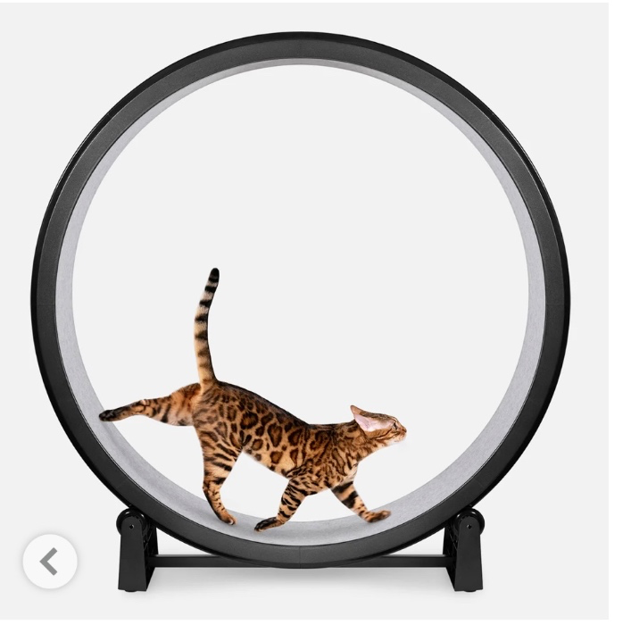 Cat Exercise Wheel