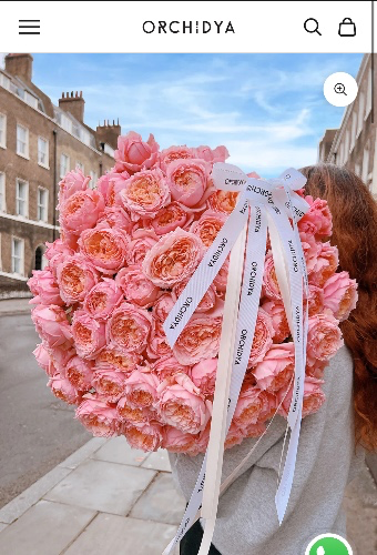 ORCHIDYA peachy-pink Juliette garden roses